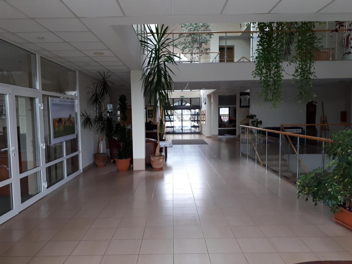 Pan Dom Pracy Tworczej W Wierzbie Wierzba Exterior foto